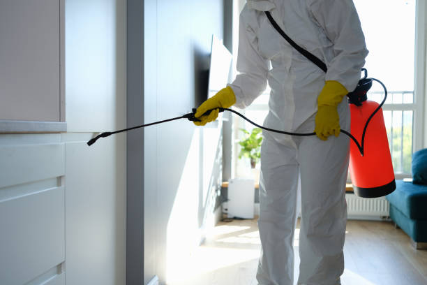 Best Residential Mold Removal  in Topanga, CA