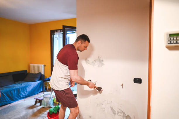 Best Fast Mold Removal  in Topanga, CA